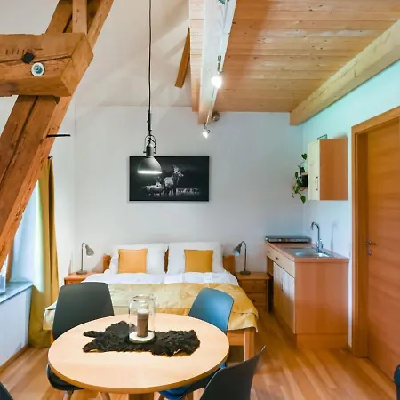 Loft-like In With Swimming Pond Apartment