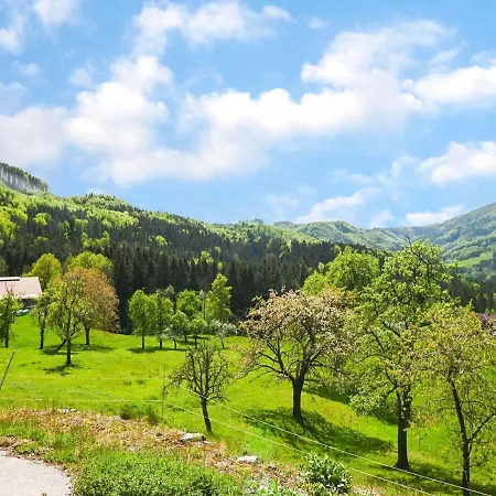 Loft-like In With Swimming Pond Apartment Scheibbs