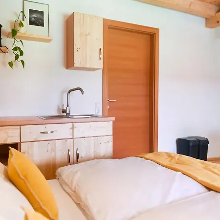 Loft-like In With Swimming Pond *