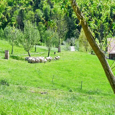 Loft-like In With Swimming Pond Apartment