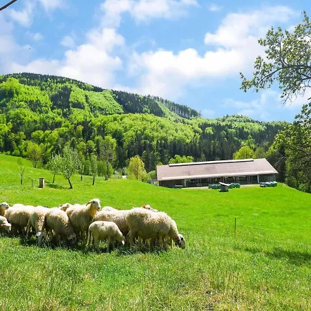 Loft-like In With Swimming Pond * Scheibbs