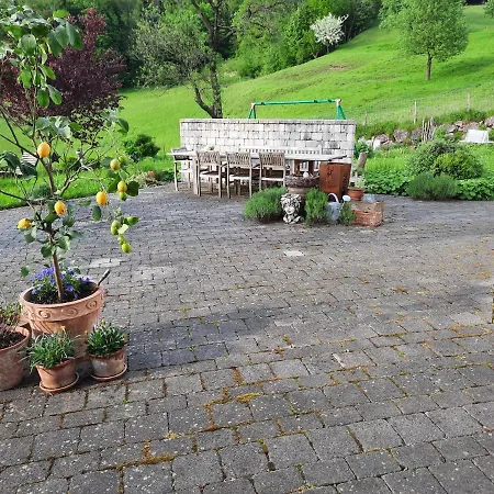 Tempting In With Garden Scheibbs