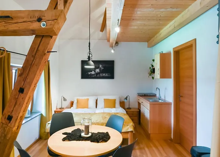 Loft-like In With Swimming Pond Apartment