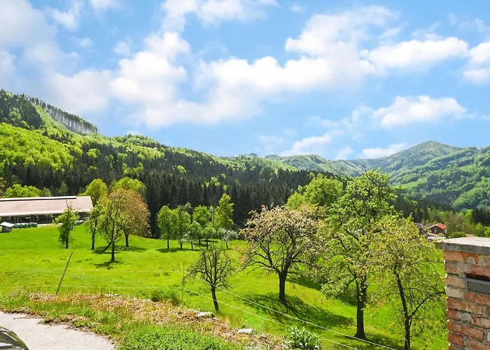Loft-like In With Swimming Pond Apartment Scheibbs