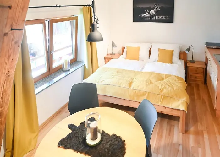 Loft-like In With Swimming Pond Apartment *