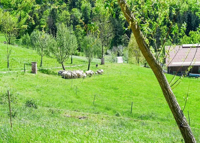 Loft-like In With Swimming Pond Apartment