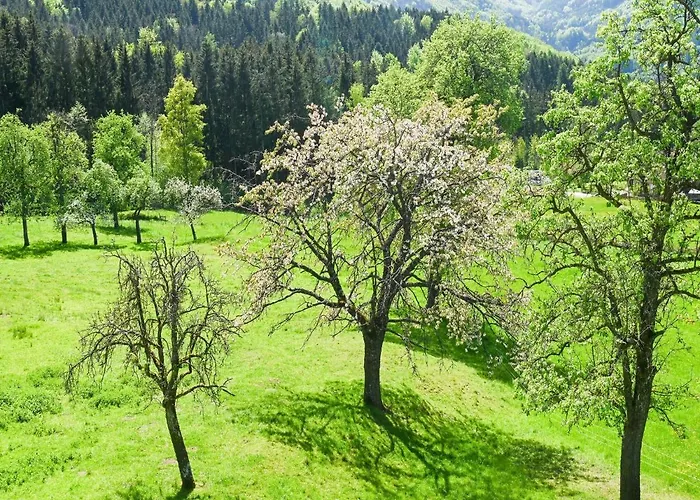 Loft-like In With Swimming Pond * Scheibbs