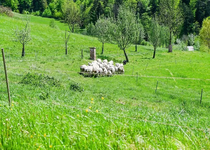 Loft-like In With Swimming Pond * Scheibbs