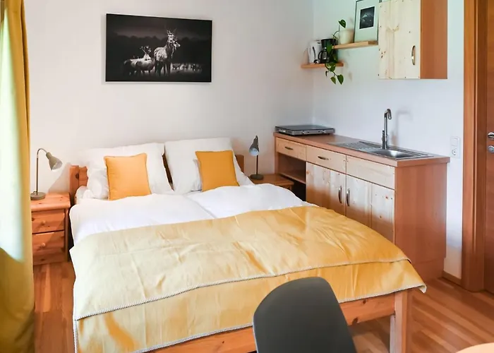 Apartment Loft-like In With Swimming Pond *