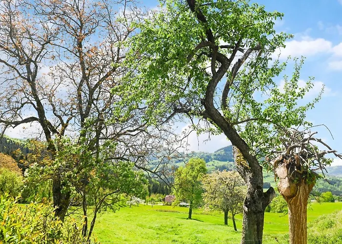 Loft-like In With Swimming Pond Apartment *
