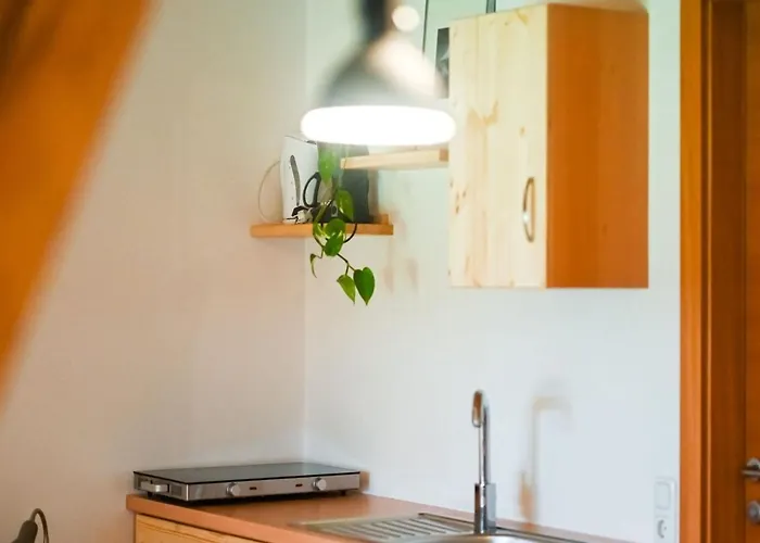 Loft-like In With Swimming Pond *