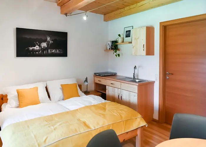 Loft-like In With Swimming Pond Apartment *