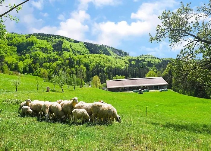 Loft-like In With Swimming Pond * Scheibbs