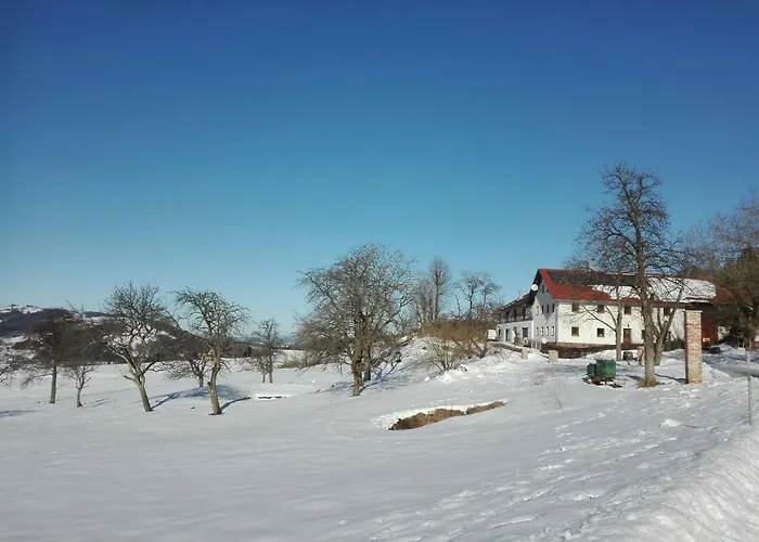 Loft-like In With Swimming Pond * Scheibbs