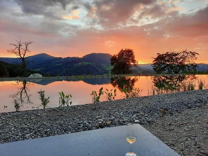 Loft-like In With Swimming Pond
